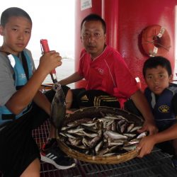 尼崎市立魚つり公園 釣果