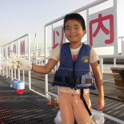 尼崎市立魚つり公園 釣果