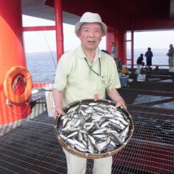 尼崎市立魚つり公園 釣果