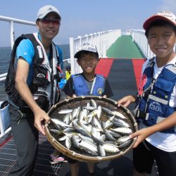尼崎市立魚つり公園 釣果