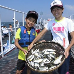 尼崎市立魚つり公園 釣果