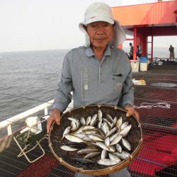 尼崎市立魚つり公園 釣果