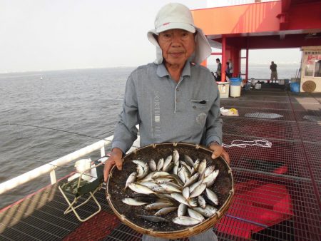 尼崎市立魚つり公園 釣果