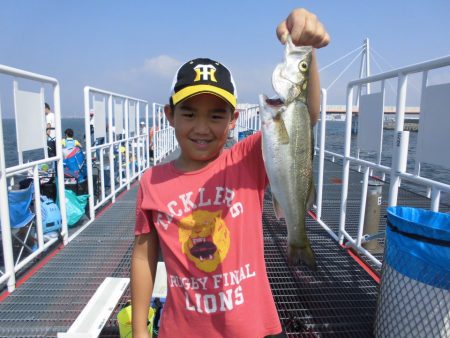 尼崎市立魚つり公園 釣果