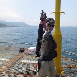 下関フィッシングパーク 釣果