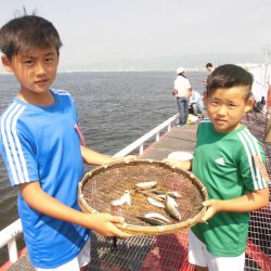 尼崎市立魚つり公園 釣果