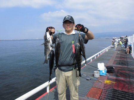 尼崎市立魚つり公園 釣果