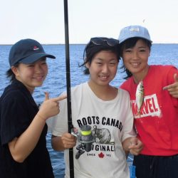 尼崎市立魚つり公園 釣果