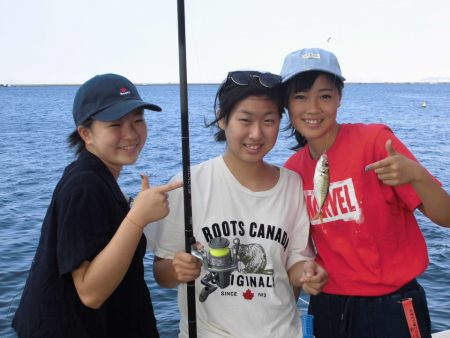 尼崎市立魚つり公園 釣果