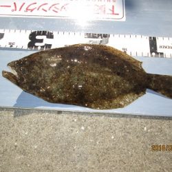 下関フィッシングパーク 釣果