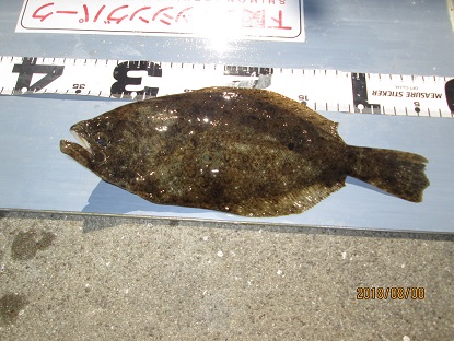 下関フィッシングパーク 釣果