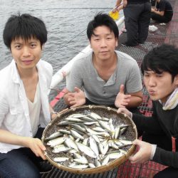 尼崎市立魚つり公園 釣果