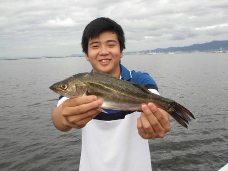 尼崎市立魚つり公園 釣果