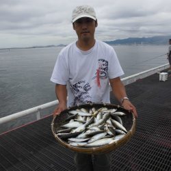尼崎市立魚つり公園 釣果