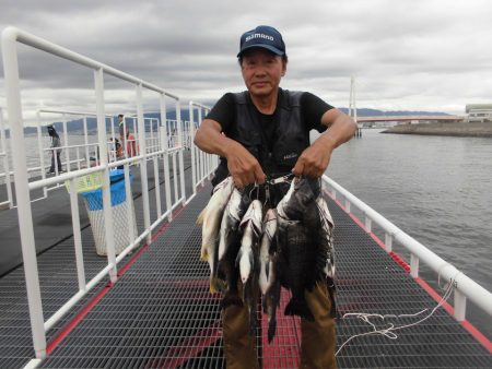 尼崎市立魚つり公園 釣果
