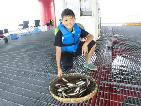 尼崎市立魚つり公園 釣果