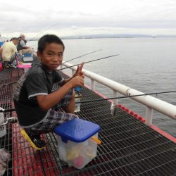 尼崎市立魚つり公園 釣果