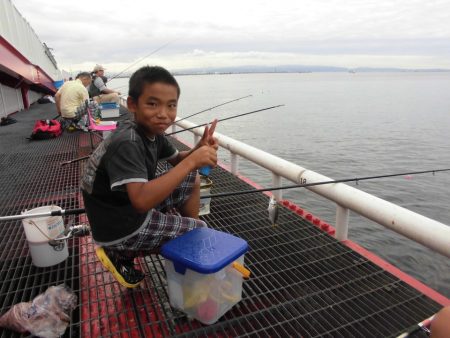 尼崎市立魚つり公園 釣果