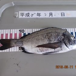 姫路市立遊魚センター 釣果