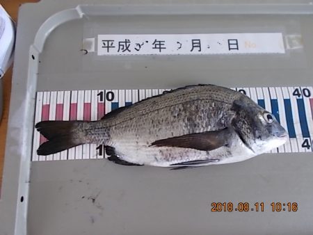 姫路市立遊魚センター 釣果