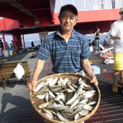 尼崎市立魚つり公園 釣果