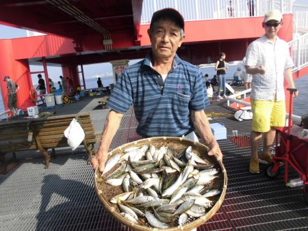 尼崎市立魚つり公園 釣果