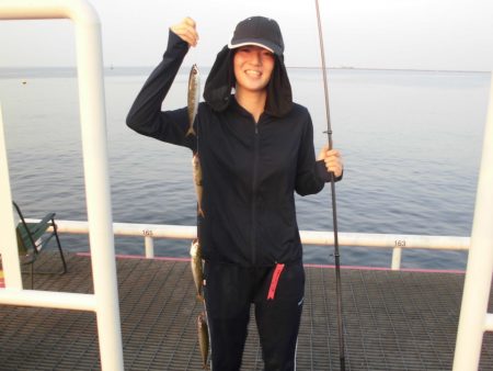 尼崎市立魚つり公園 釣果