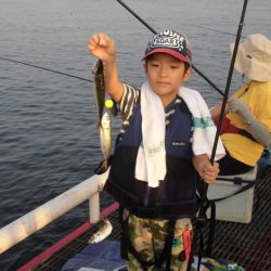 尼崎市立魚つり公園 釣果