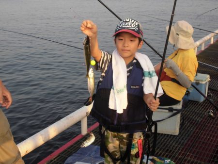 尼崎市立魚つり公園 釣果