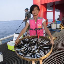 尼崎市立魚つり公園 釣果