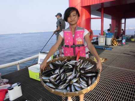 尼崎市立魚つり公園 釣果