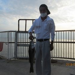 下関フィッシングパーク 釣果