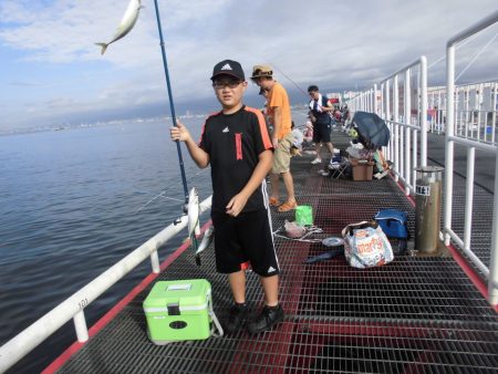 尼崎市立魚つり公園 釣果