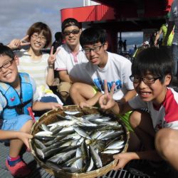 尼崎市立魚つり公園 釣果