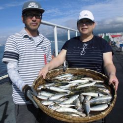 尼崎市立魚つり公園 釣果