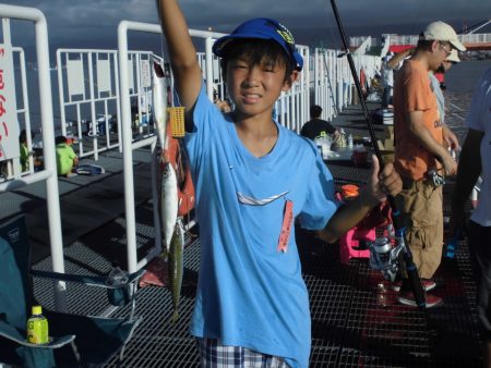 尼崎市立魚つり公園 釣果