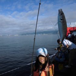 尼崎市立魚つり公園 釣果