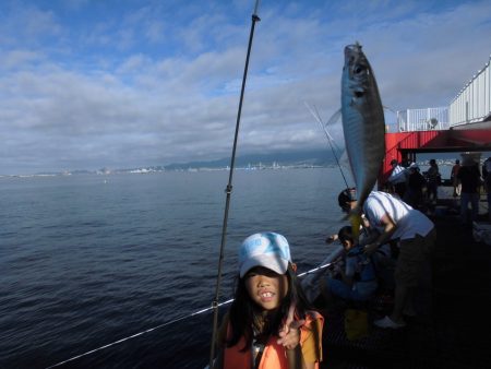 尼崎市立魚つり公園 釣果
