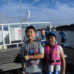 尼崎市立魚つり公園 釣果