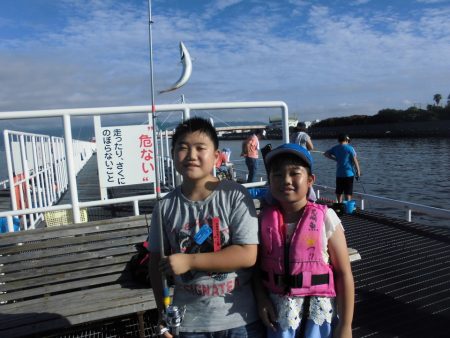 尼崎市立魚つり公園 釣果