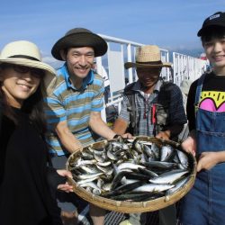 尼崎市立魚つり公園 釣果