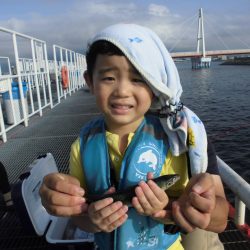 尼崎市立魚つり公園 釣果