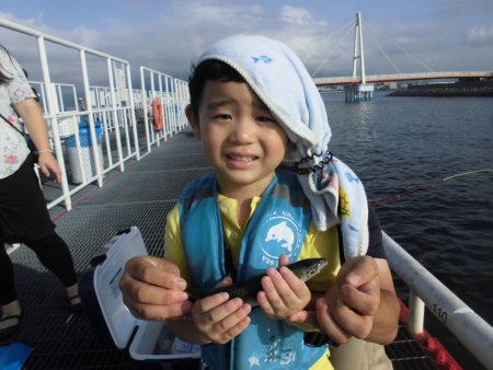 尼崎市立魚つり公園 釣果