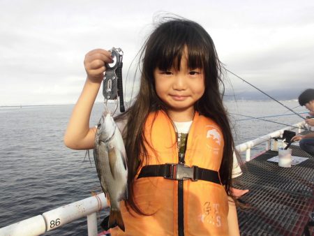 尼崎市立魚つり公園 釣果