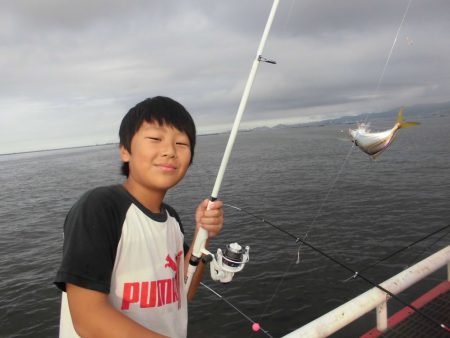 尼崎市立魚つり公園 釣果