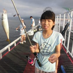 尼崎市立魚つり公園 釣果