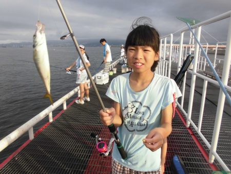 尼崎市立魚つり公園 釣果