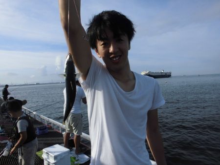 尼崎市立魚つり公園 釣果