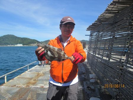 下関フィッシングパーク 釣果