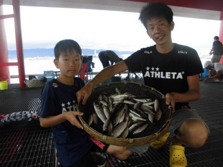 尼崎市立魚つり公園 釣果